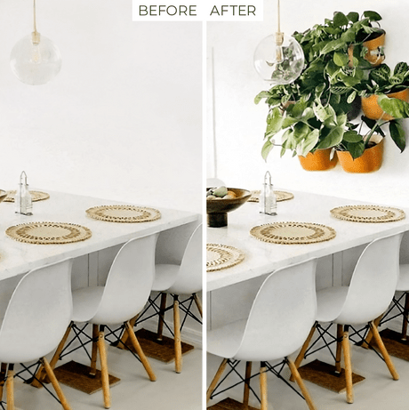 Eco-friendly hanging wall planter in use with lush greenery