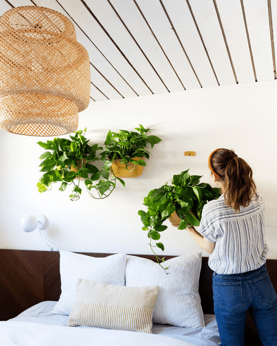 Eco-friendly hanging wall planter in use with lush greenery