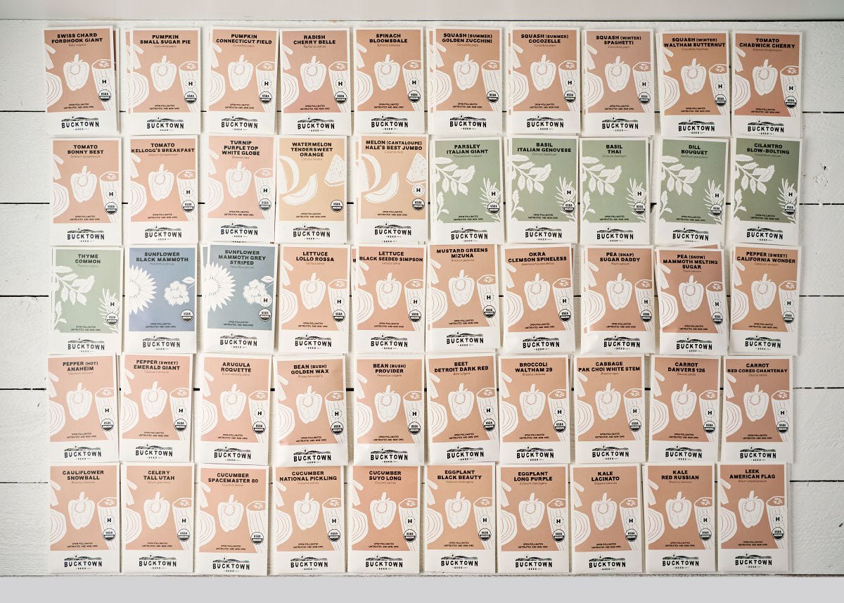 Backyard Garden Seed Kit with Flowers, Fruits, and Veggies