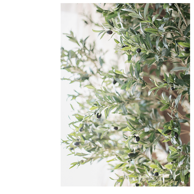 Close‑up of lifelike silk‑cloth olive tree foliage showing detailed green leaves