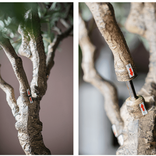 Step‑by‑step assembly diagram for the Extra‑Large Artificial Olive Tree (refer to image #3)