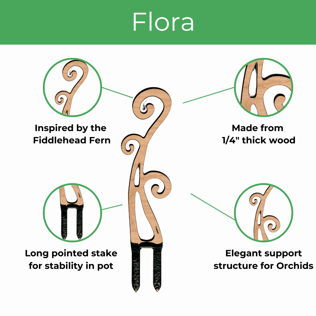 Flora - Fiddlehead Fern Inspired Indoor Plant Trellis for Orchids & Vining Houseplants - Ed's Plant Shop