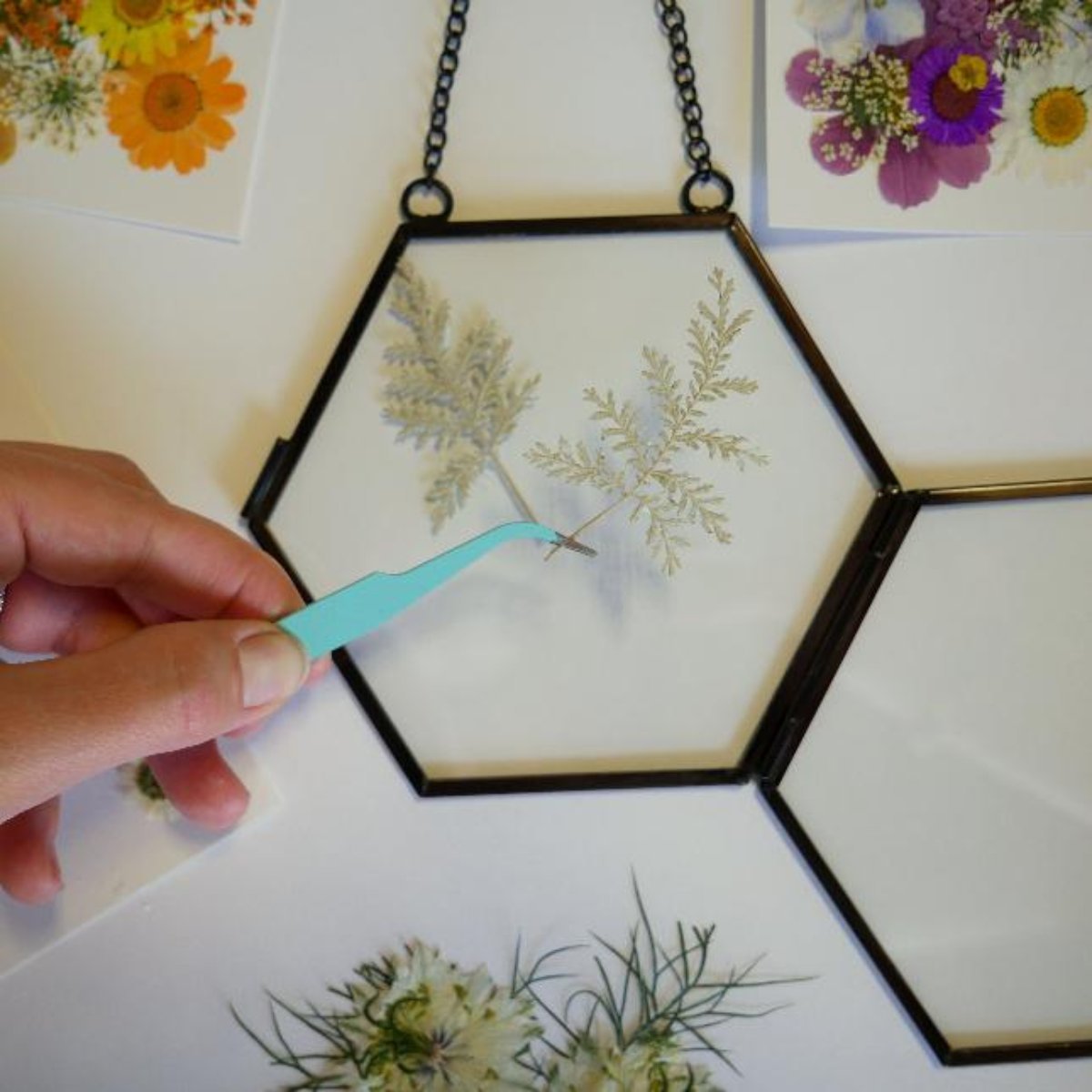 Framed Pressed Flowers Kit - Ed's Plant Shop