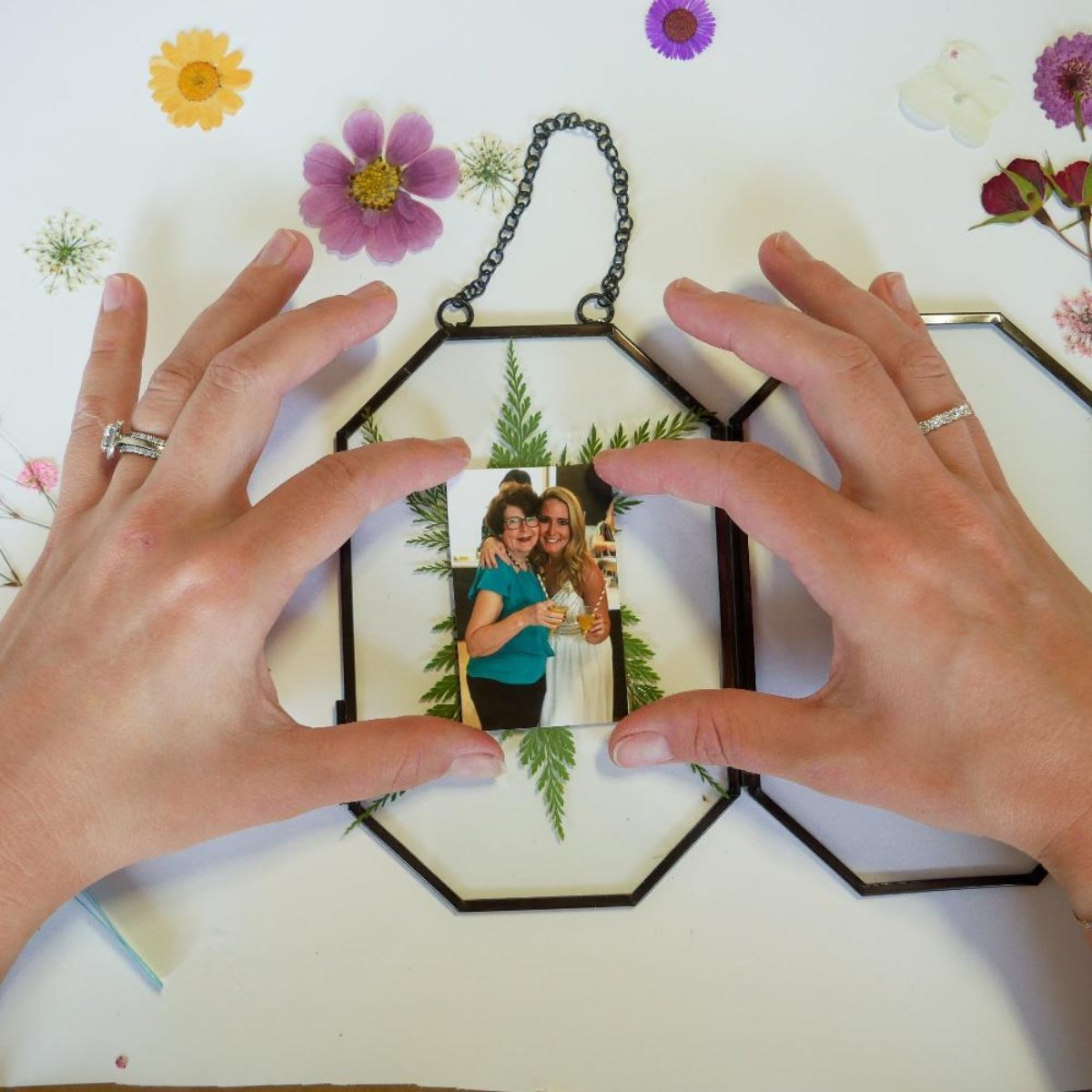 Framed Pressed Flowers Kit - Ed's Plant Shop