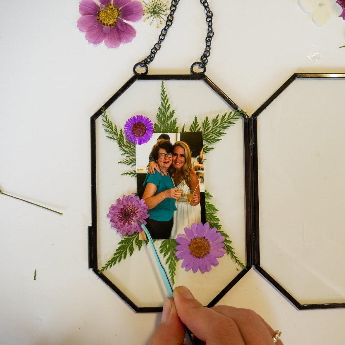 Framed Pressed Flowers Kit - Ed's Plant Shop