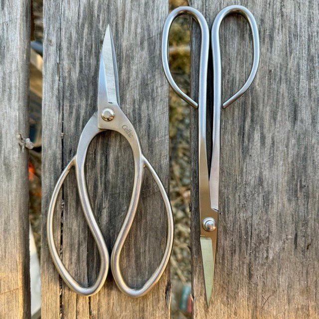 Garden Gift Box - Stainless Garden Scissor Set - Ed's Plant Shop