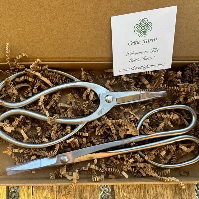 Garden Gift Box - Stainless Garden Scissor Set - Ed's Plant Shop