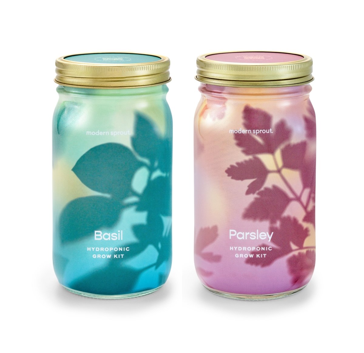 Garden Jars - Organic Herbs - Ed's Plant Shop