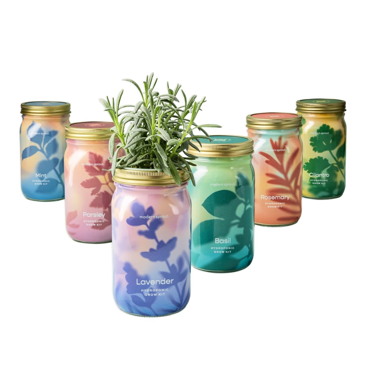 Garden Jars - Organic Herbs - Ed's Plant Shop