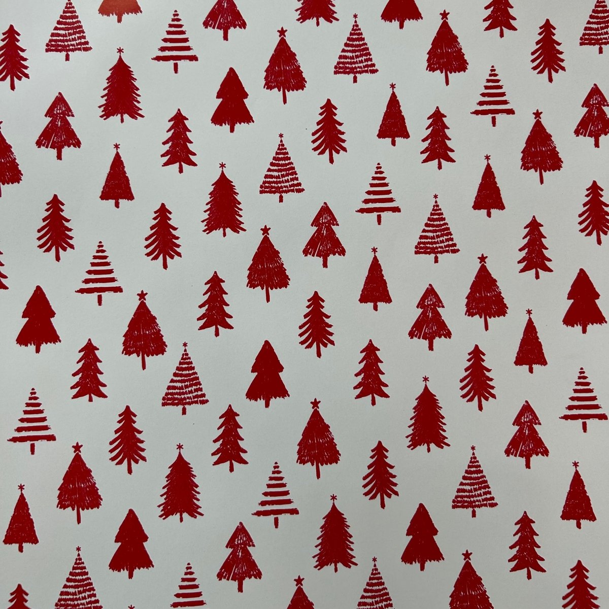 Gift Wrap - Ed's Plant Shop