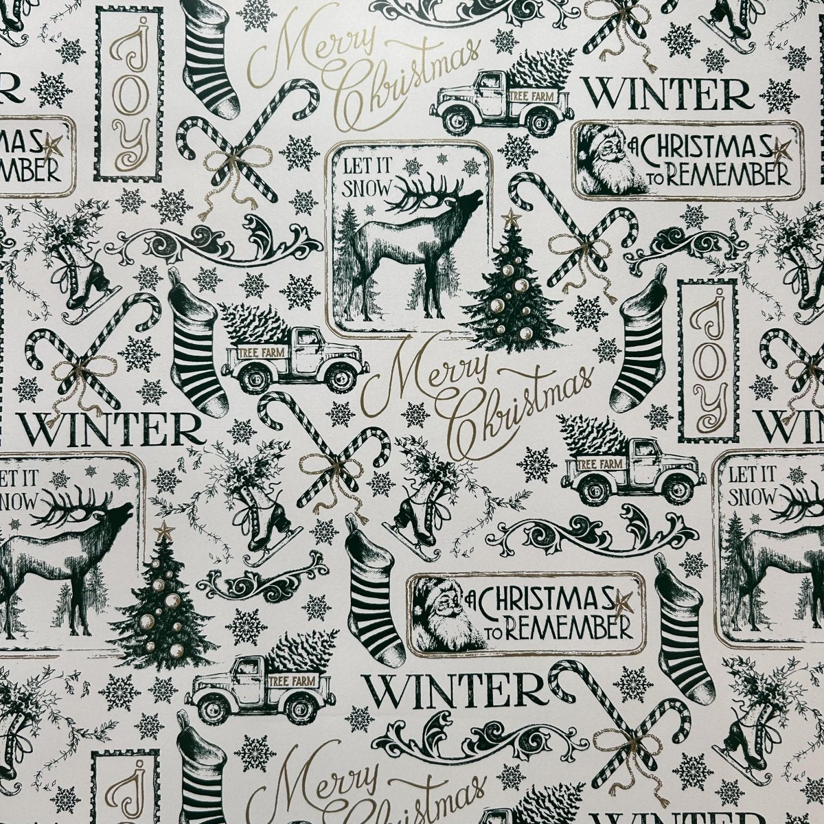 Gift Wrap - Ed's Plant Shop