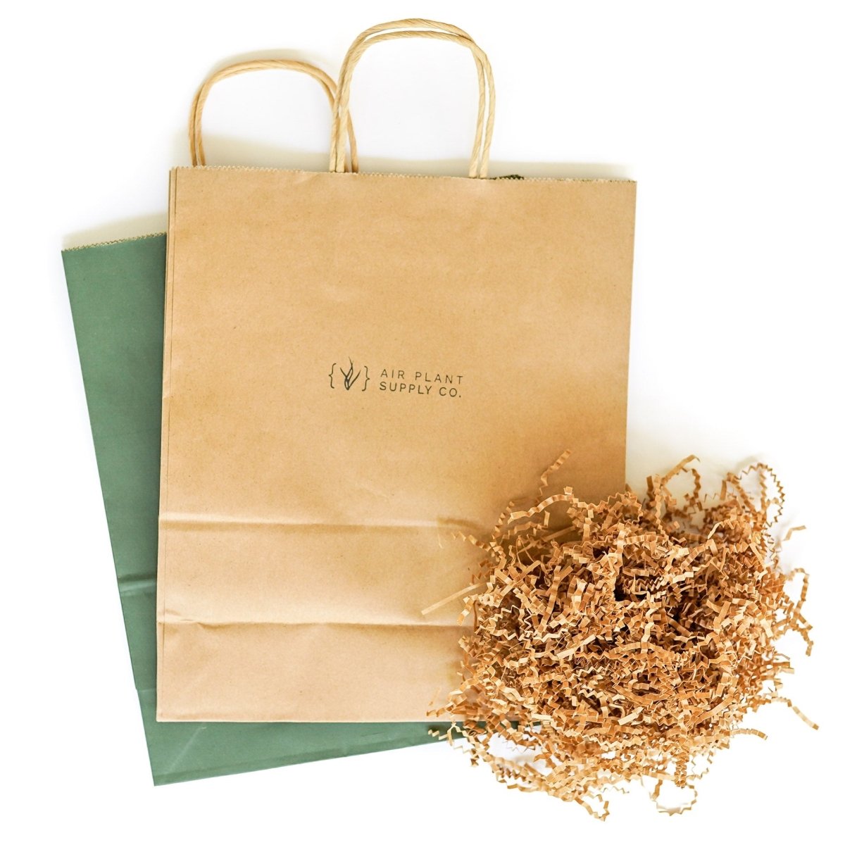 Gift Wrapped Tillandsia Xerographica - Ed's Plant Shop