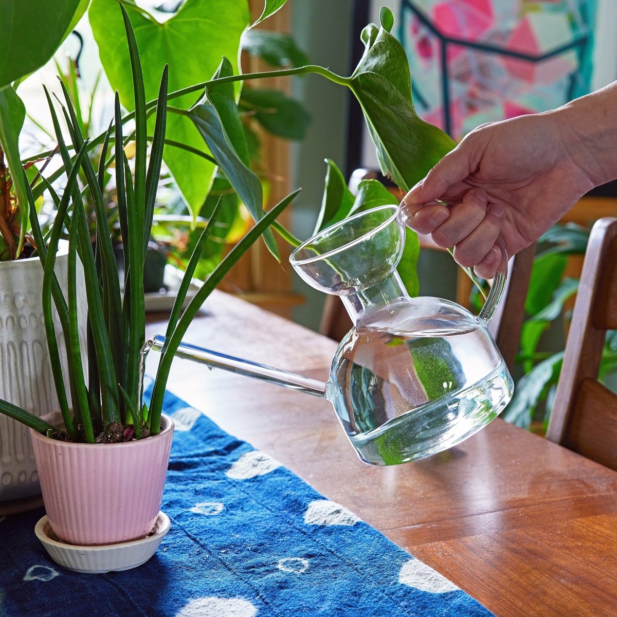 Glass Watering Can | Elegant, Multi - Functional Plant Care Tool - Ed's Plant Shop