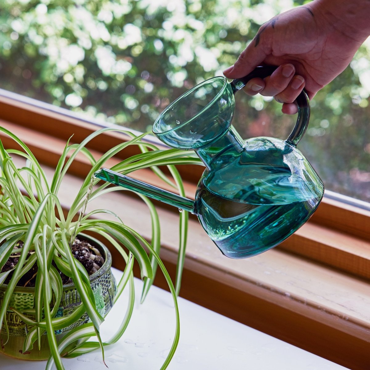 Glass Watering Can | Elegant, Multi - Functional Plant Care Tool - Ed's Plant Shop