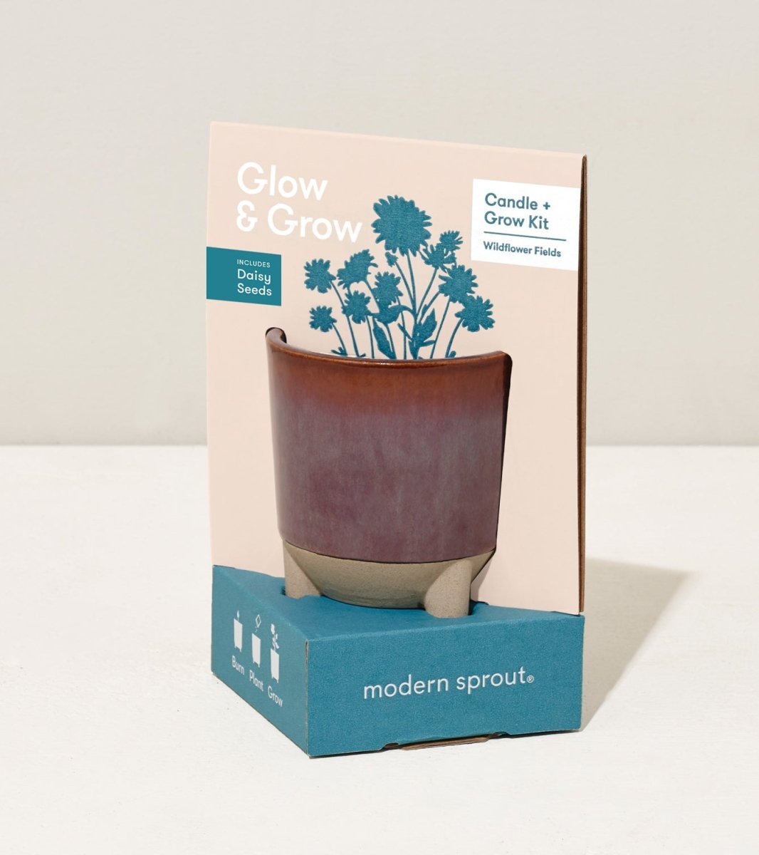 Glow & Grow Candle - to - Planter Kit – Basil, Daisies, Aloe, or Spruce - Ed's Plant Shop
