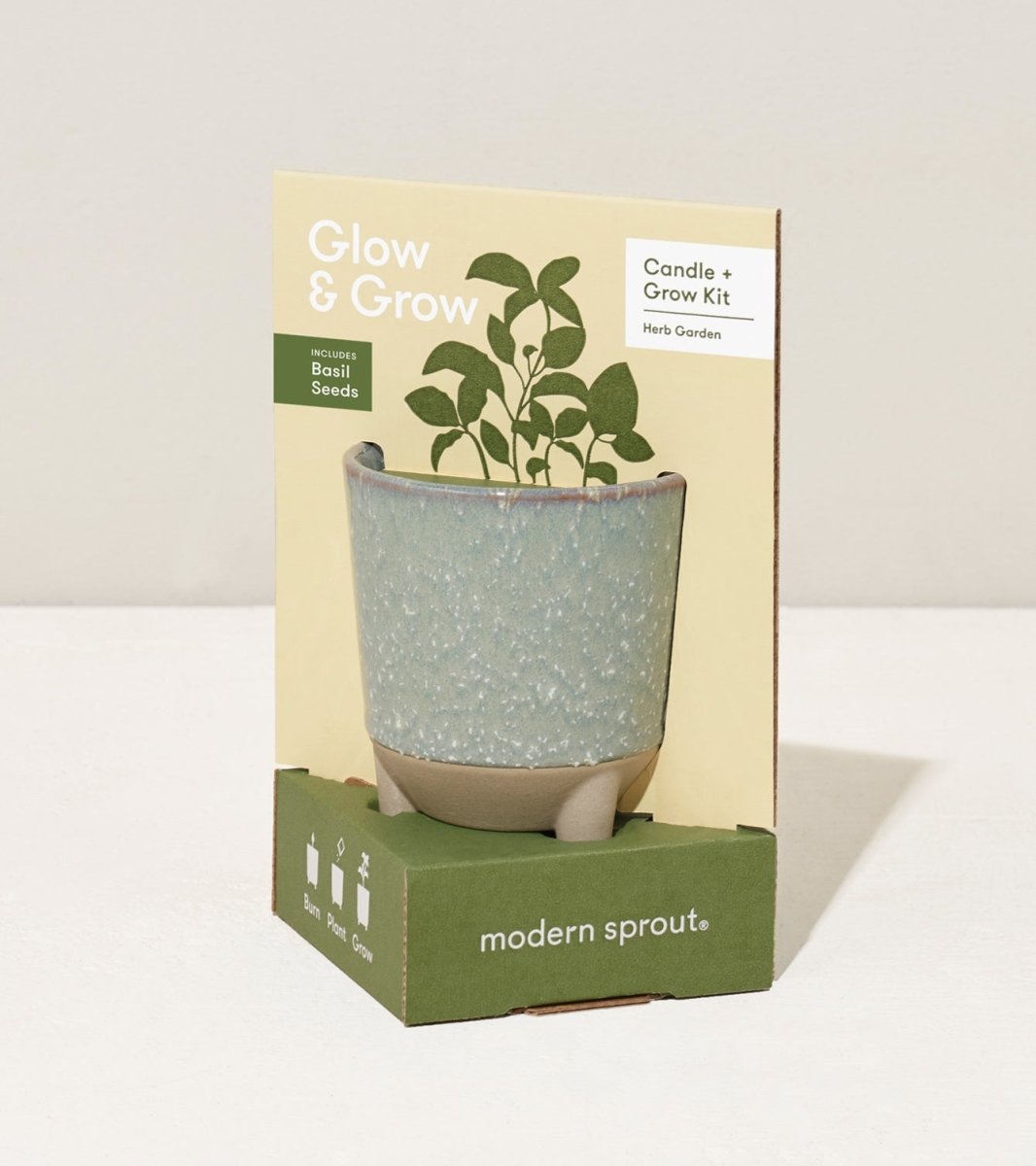 Glow & Grow Candle - to - Planter Kit – Basil, Daisies, Aloe, or Spruce - Ed's Plant Shop