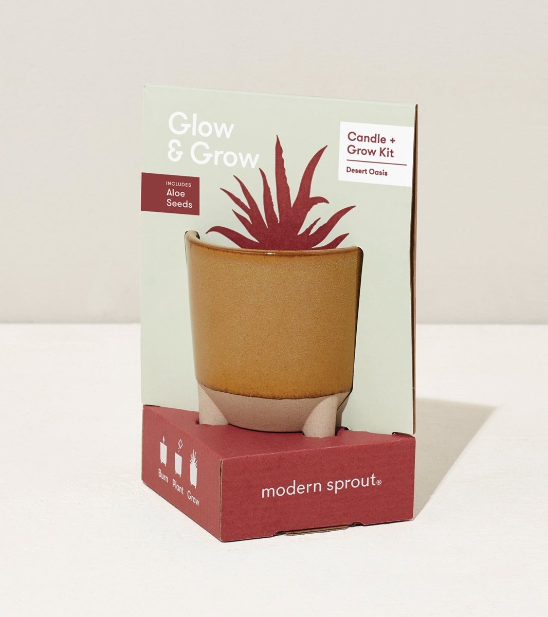 Glow & Grow Candle - to - Planter Kit – Basil, Daisies, Aloe, or Spruce - Ed's Plant Shop