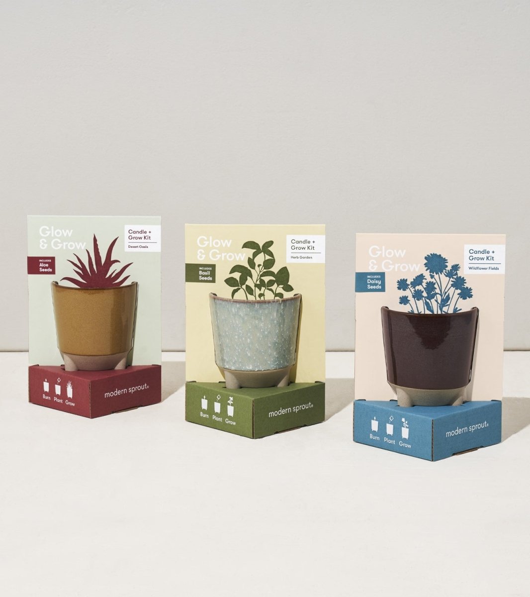 Glow & Grow Candle - to - Planter Kit – Basil, Daisies, Aloe, or Spruce - Ed's Plant Shop
