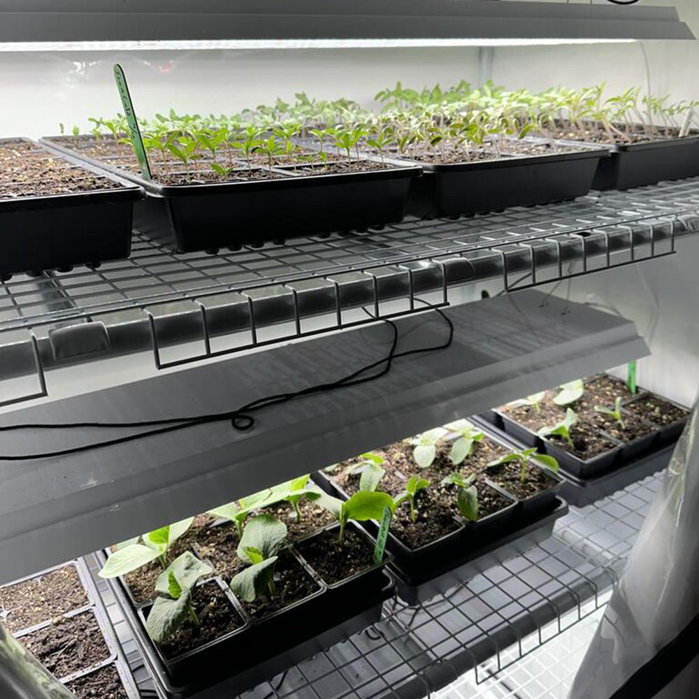 Greens & Veggies 3 - Tier Walden White LED Grow Tent Kit - Ed's Plant Shop