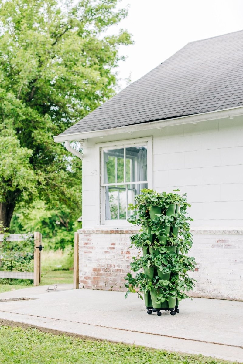 GreenStalk Garden Mover - Ed's Plant Shop