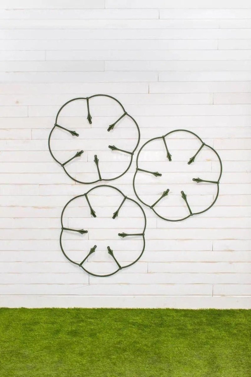 GreenStalk Garden Plant Support (Set of 3) - Ed's Plant Shop