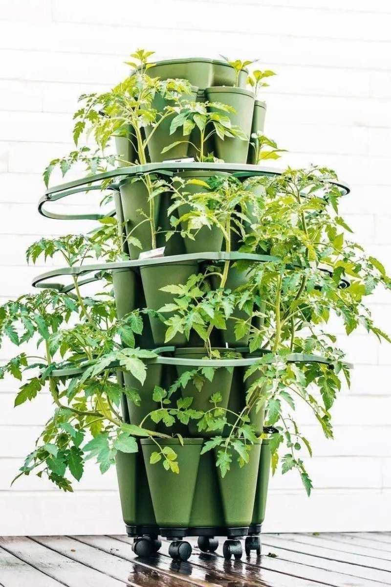 GreenStalk Garden Plant Support (Set of 3) - Ed's Plant Shop