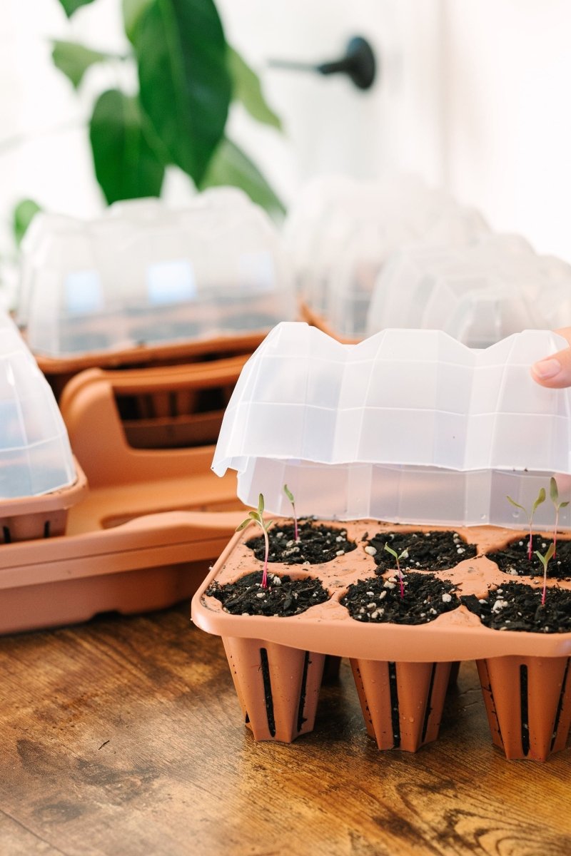 GreenStalk Garden Seed Starter Kit with Domes - Ed's Plant Shop