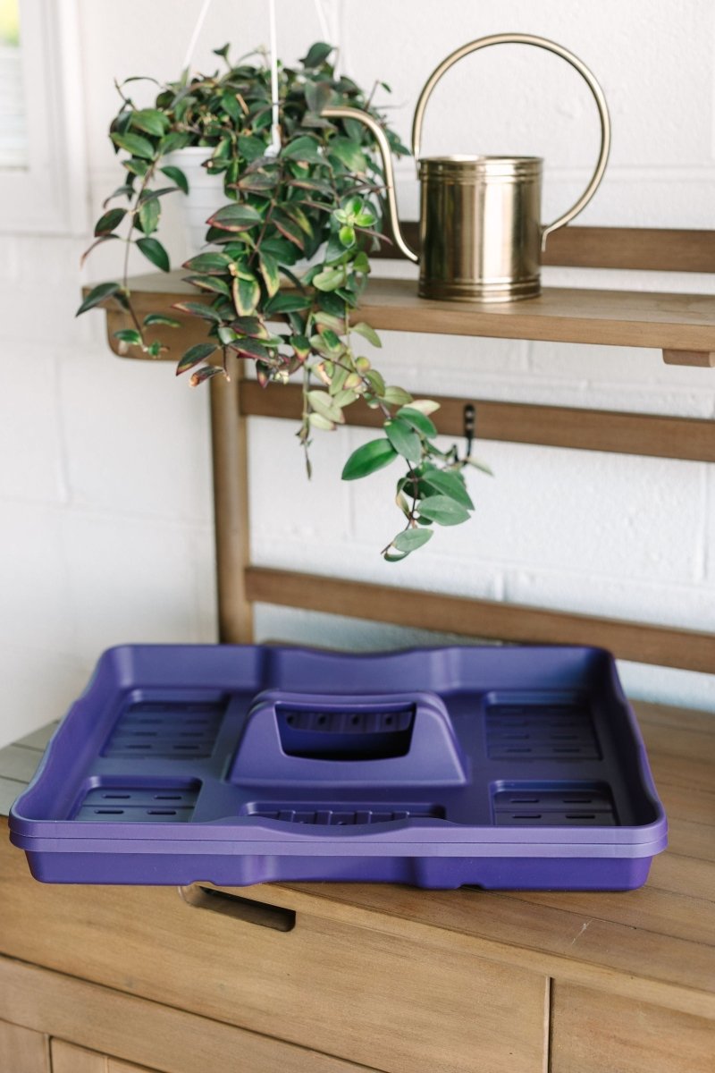 GreenStalk Garden Seed Starter Kit with Domes - Ed's Plant Shop