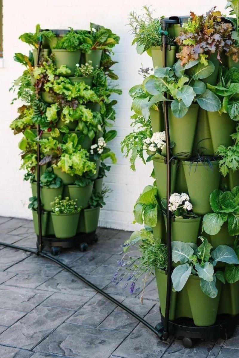 GreenStalk Garden Spring - Watering System - Ed's Plant Shop