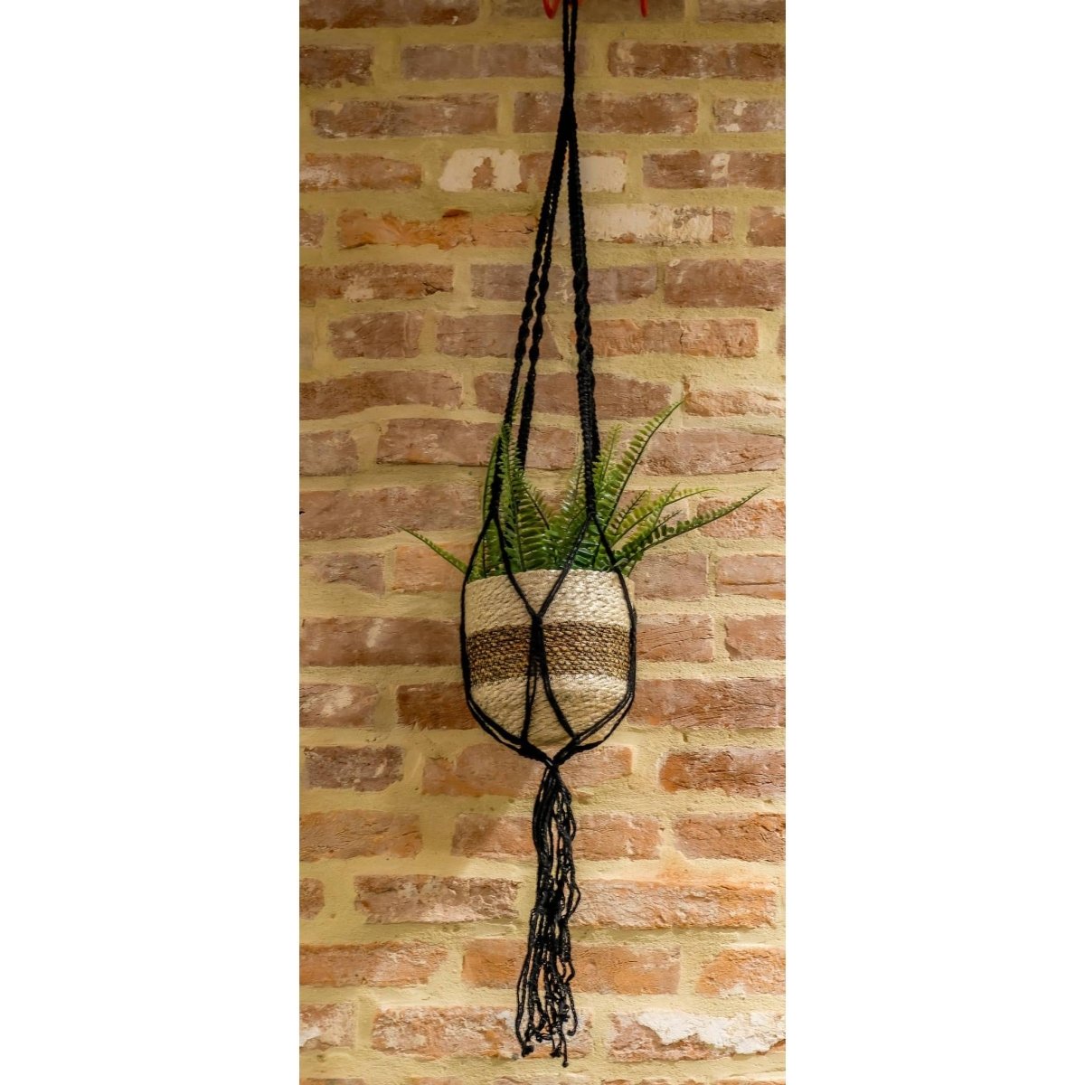 Handmade Macrame Plant Hanger – Black Cotton Rope, 45" for 5–8 Inch Pots - Ed's Plant Shop