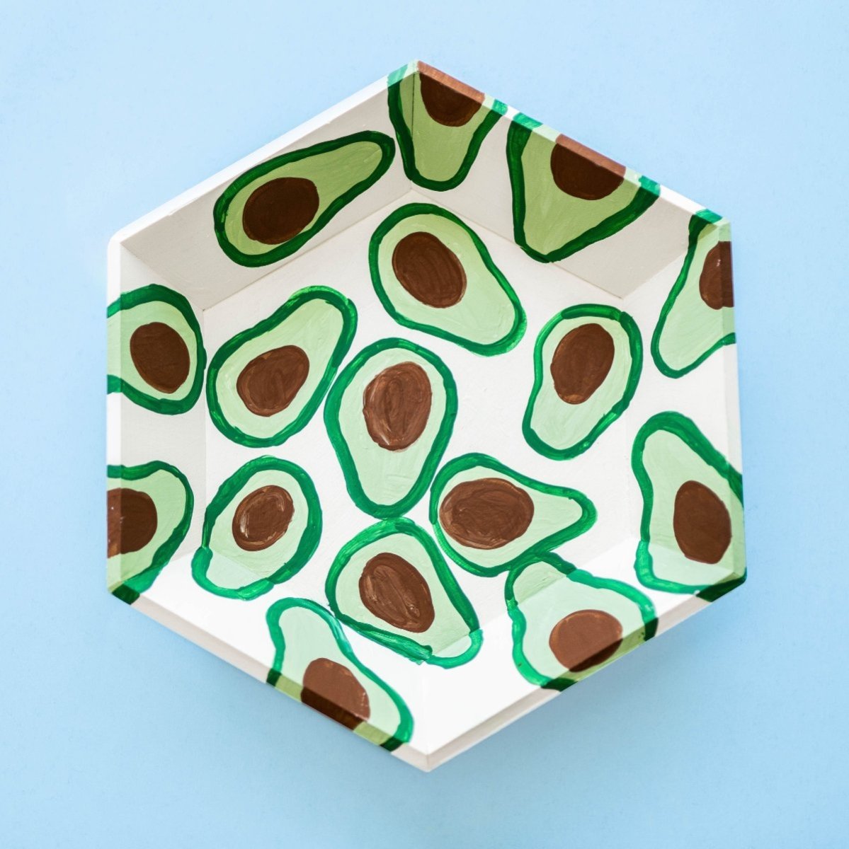 Hexagon Tray Kit - Ed's Plant Shop