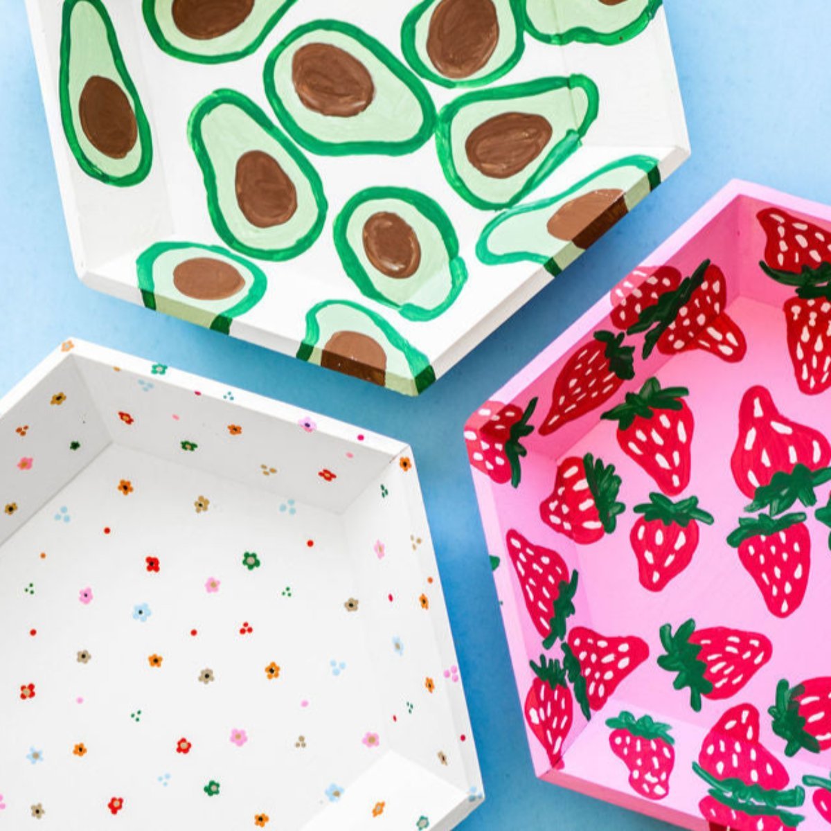 Hexagon Tray Kit - Ed's Plant Shop