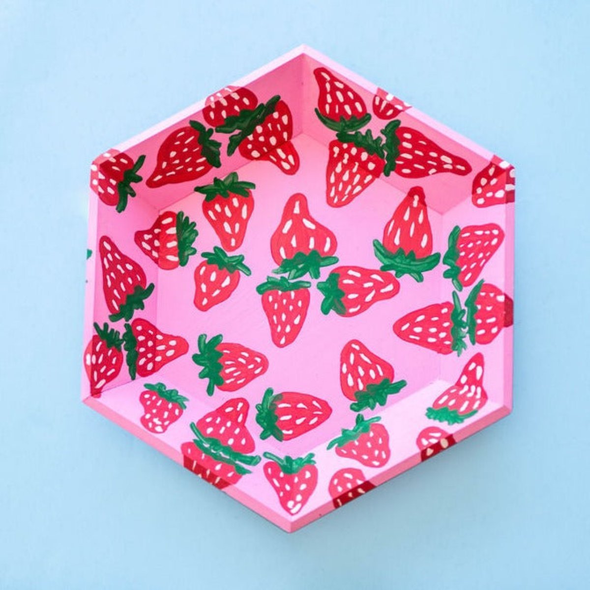 Hexagon Tray Kit - Ed's Plant Shop