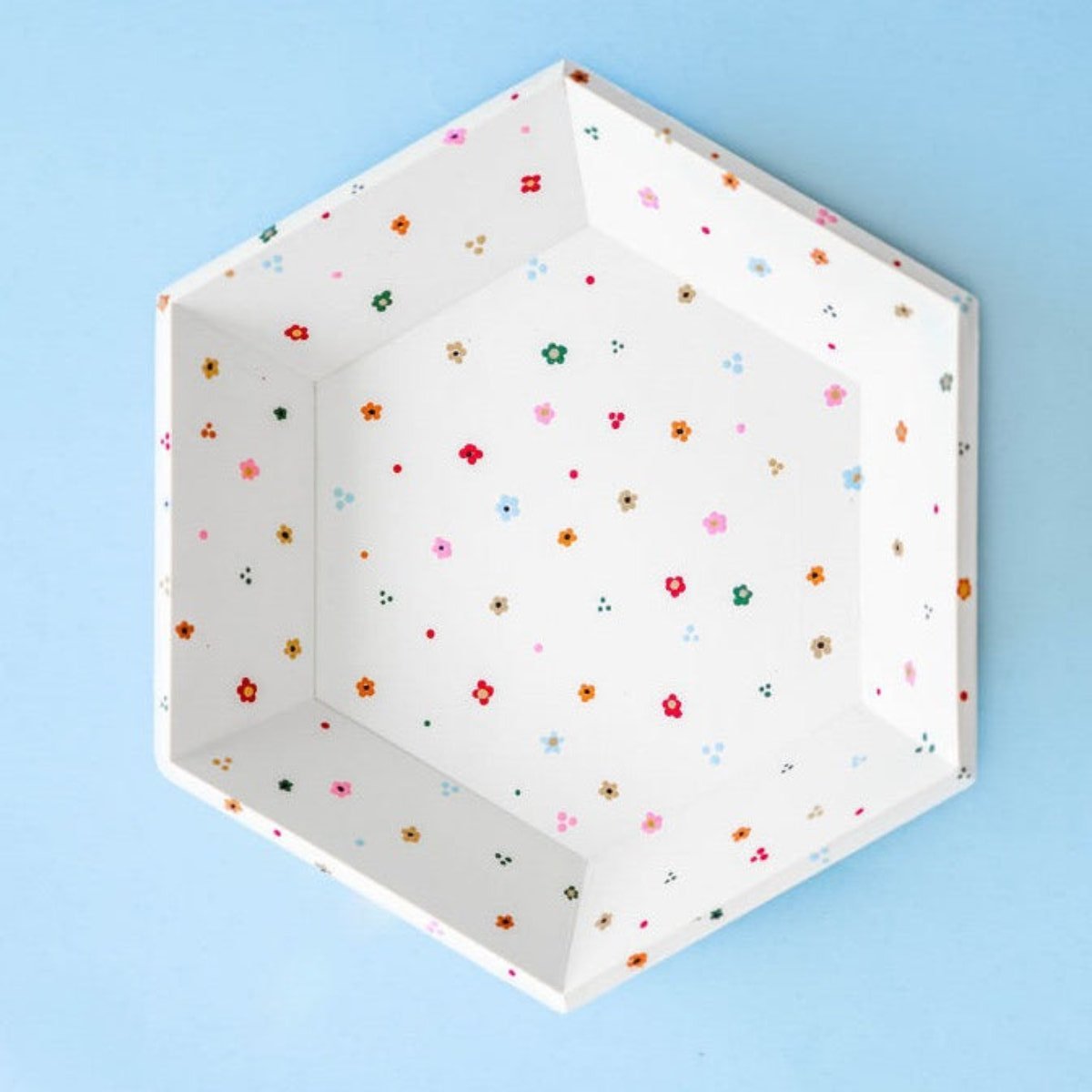 Hexagon Tray Kit - Ed's Plant Shop