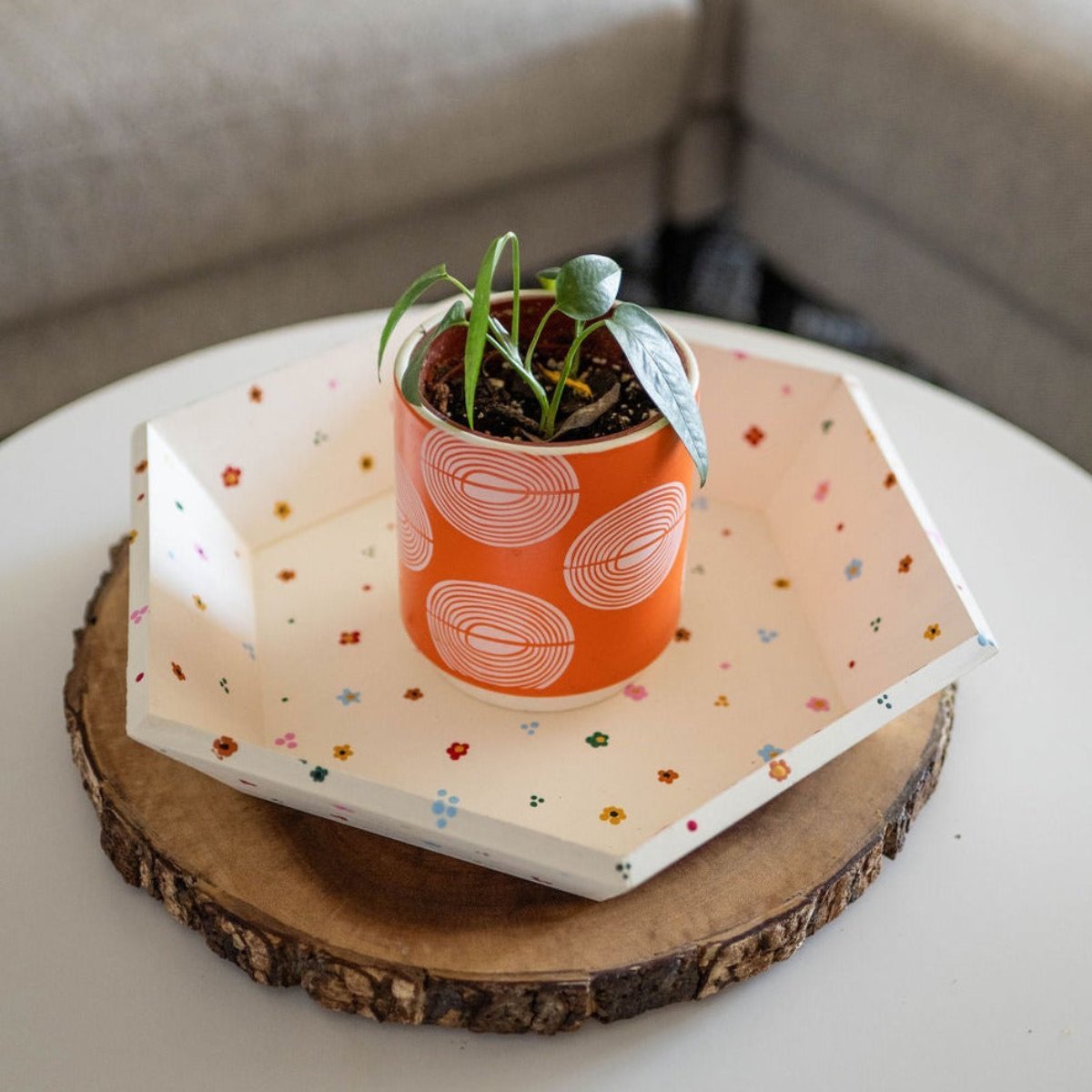 Hexagon Tray Kit - Ed's Plant Shop