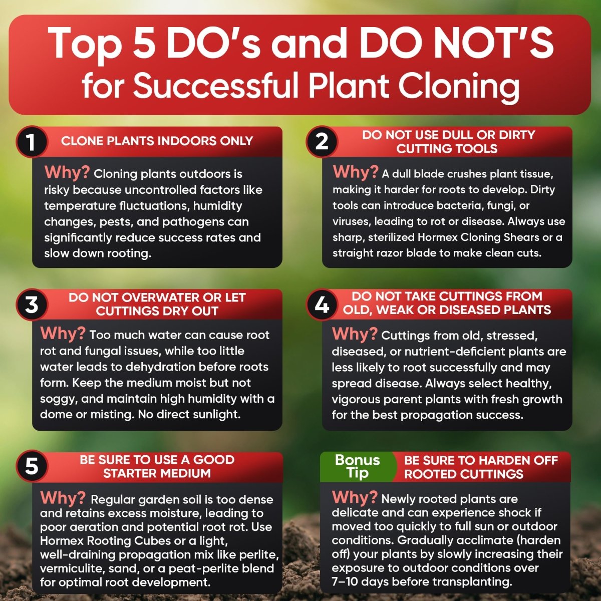 Hormex Rooting Cubes – Organic Peat & Coco Plugs for Cuttings & Seedlings - Ed's Plant Shop