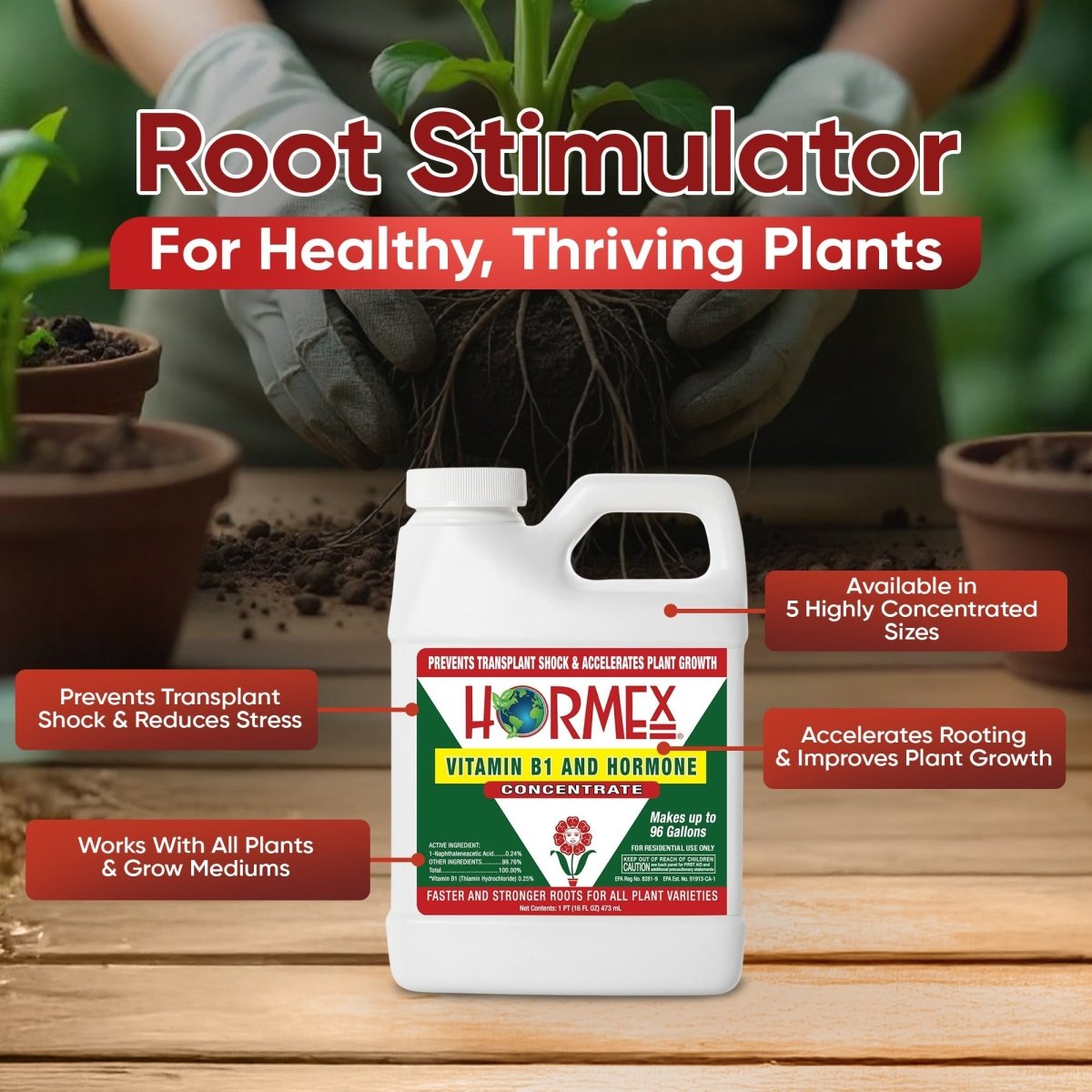 Hormex Rooting Hormone Concentrate with B1 – Root Growth & Plant Health Booster - Ed's Plant Shop