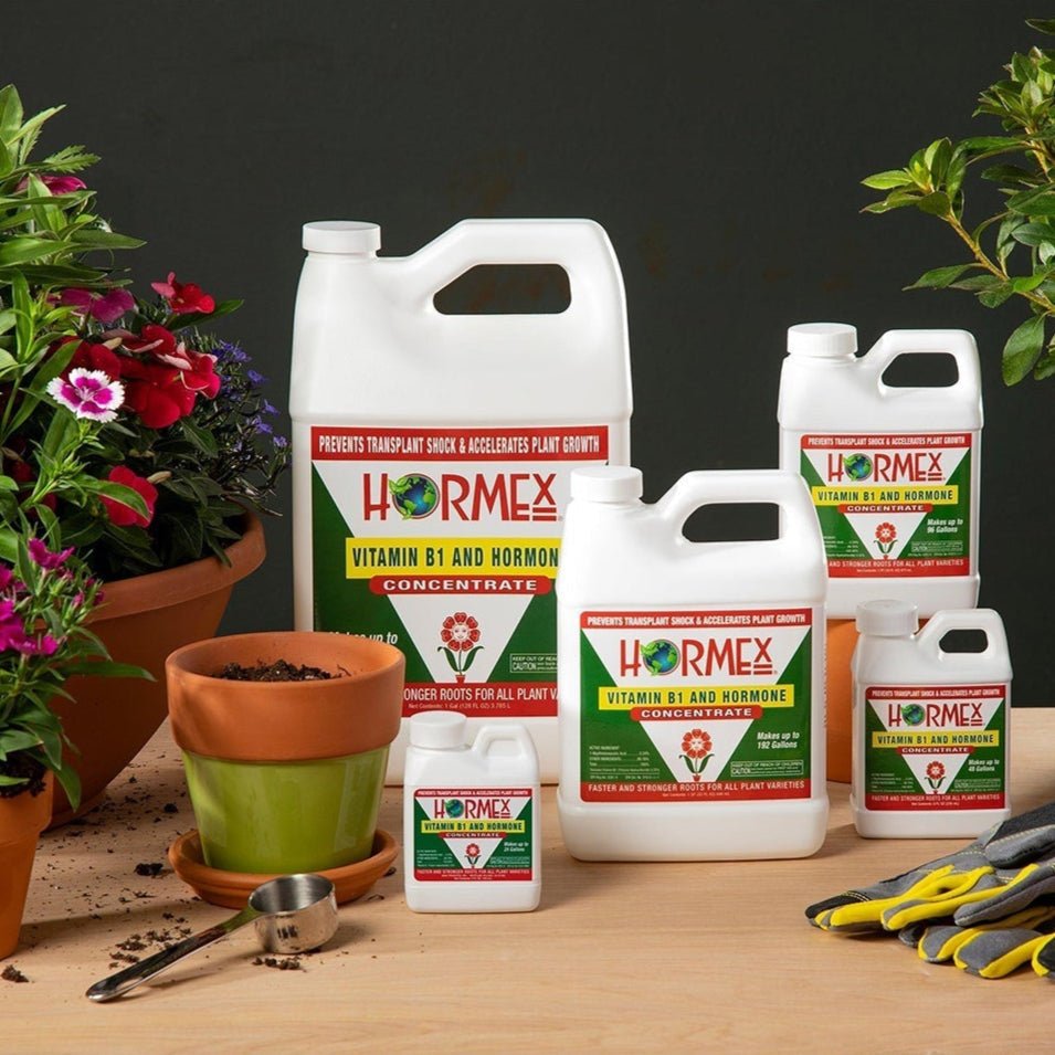 Hormex Rooting Hormone Concentrate with B1 – Root Growth & Plant Health Booster - Ed's Plant Shop