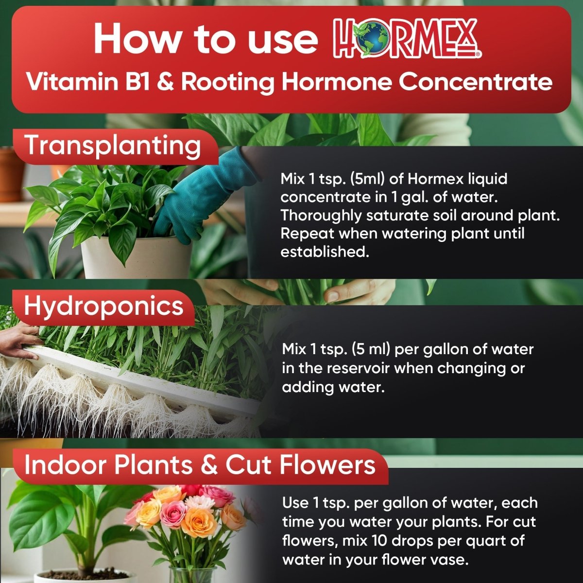 Hormex Rooting Hormone Concentrate with B1 – Root Growth & Plant Health Booster - Ed's Plant Shop