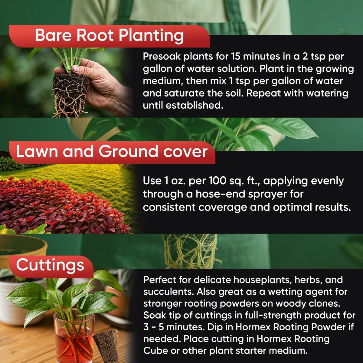 Hormex Rooting Hormone Concentrate with B1 – Root Growth & Plant Health Booster - Ed's Plant Shop