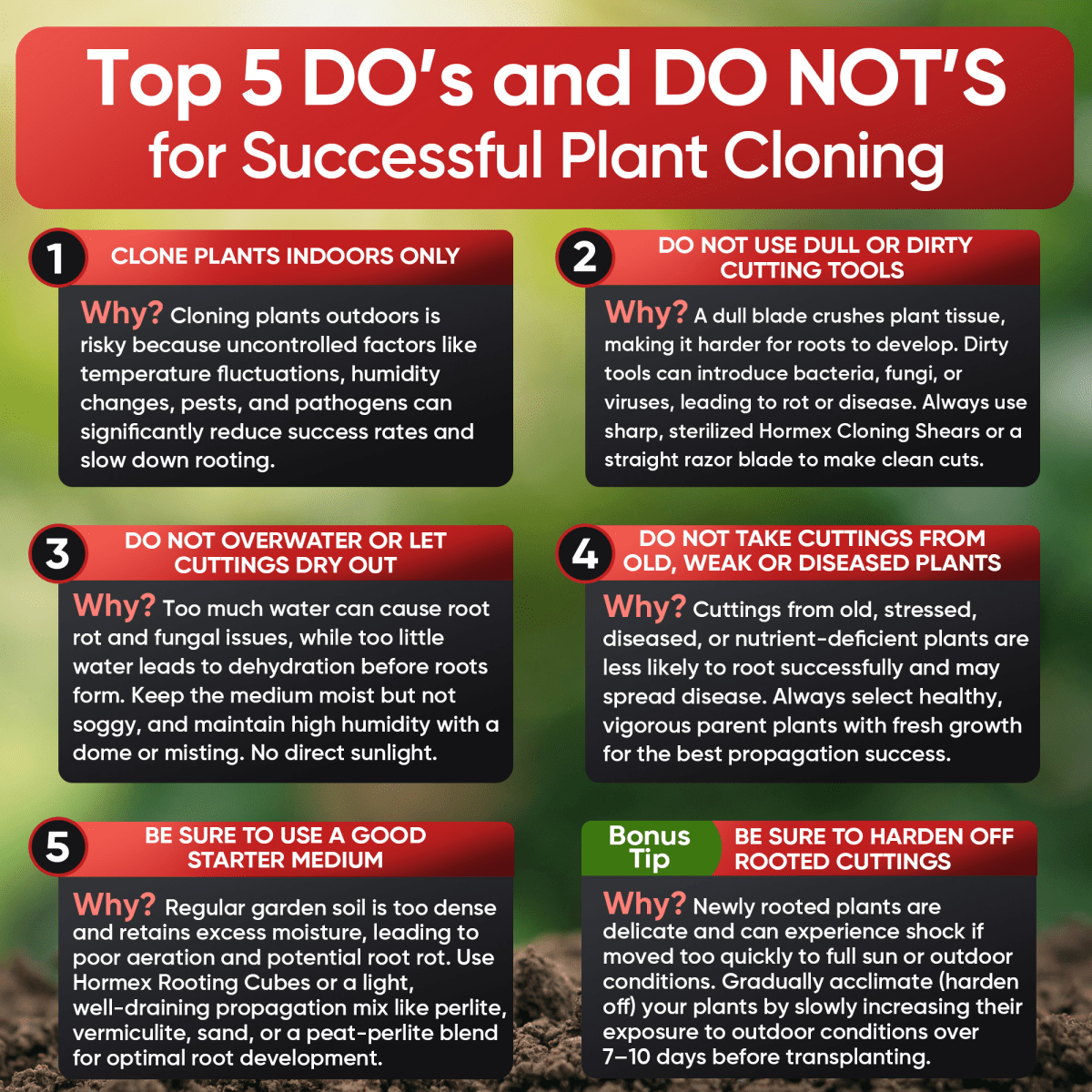 Hormex Rooting Powder 1 – 0.10% IBA Cloning & Rooting Hormone for Softwood, Herbs & Succulent Cuttings - Ed's Plant Shop