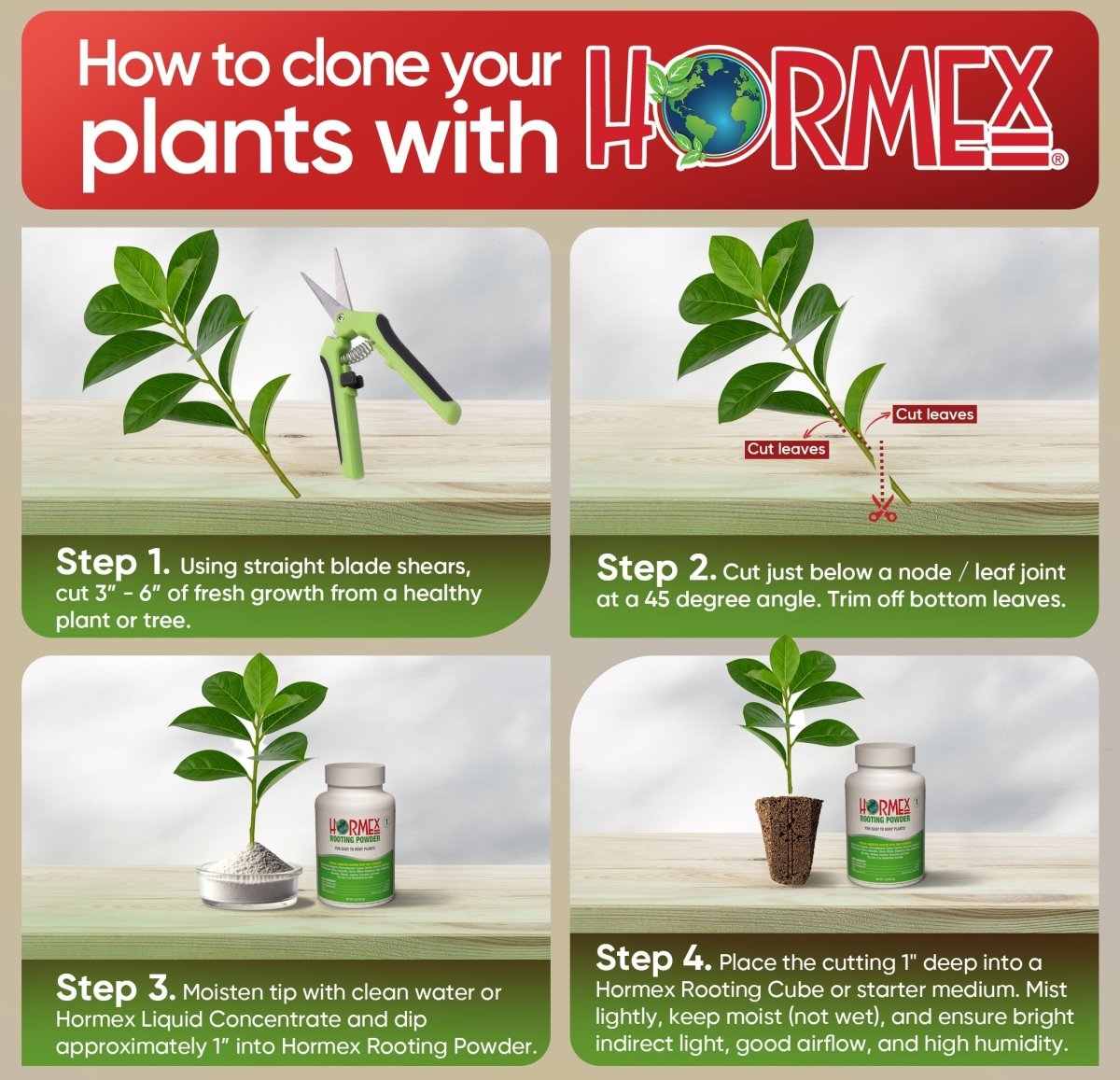 Hormex Rooting Powder 1 – 0.10% IBA Cloning & Rooting Hormone for Softwood, Herbs & Succulent Cuttings - Ed's Plant Shop