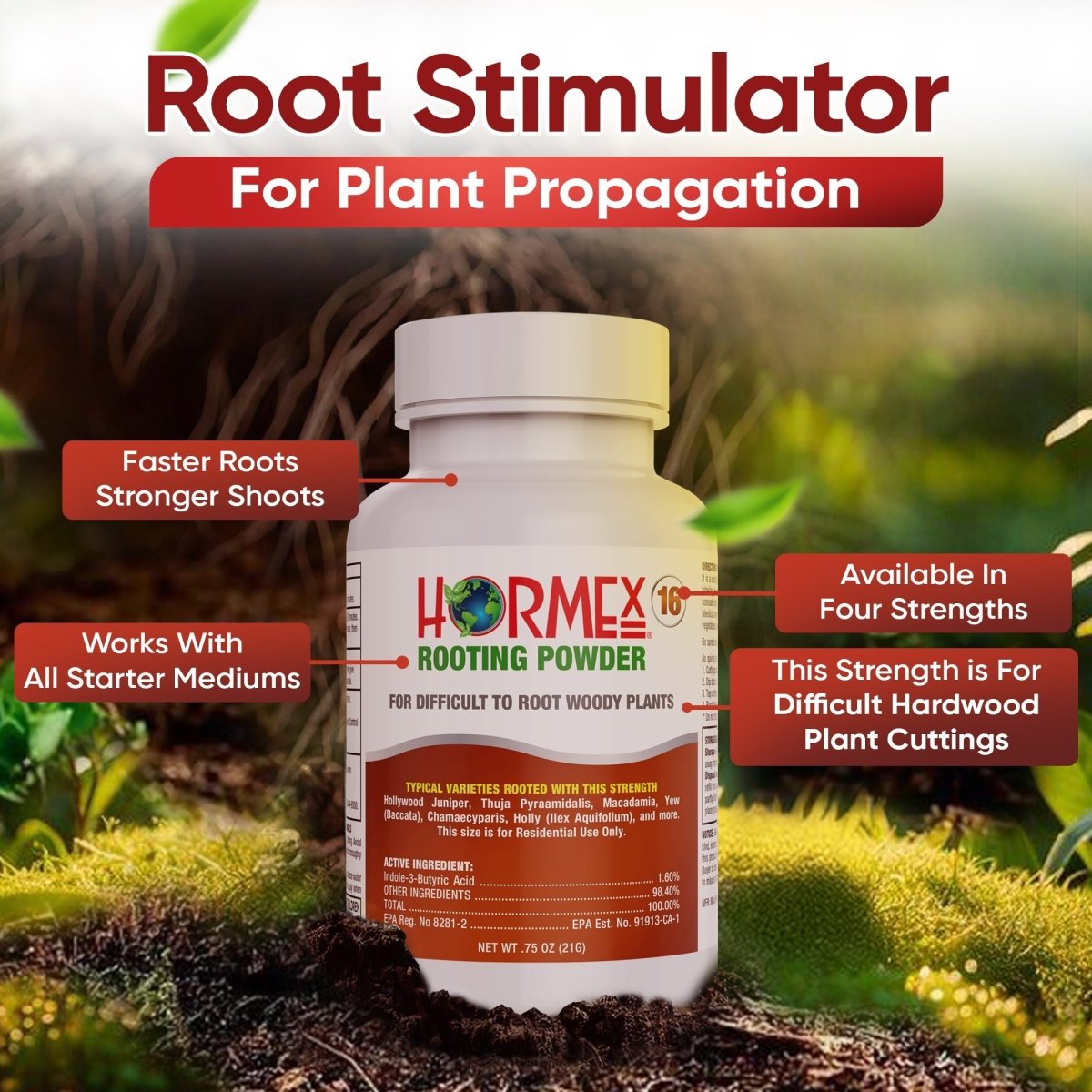 Hormex Rooting Powder 16 – 1.60% IBA Professional - Grade Cloning Hormone for Difficult Hardwood Cuttings - Ed's Plant Shop