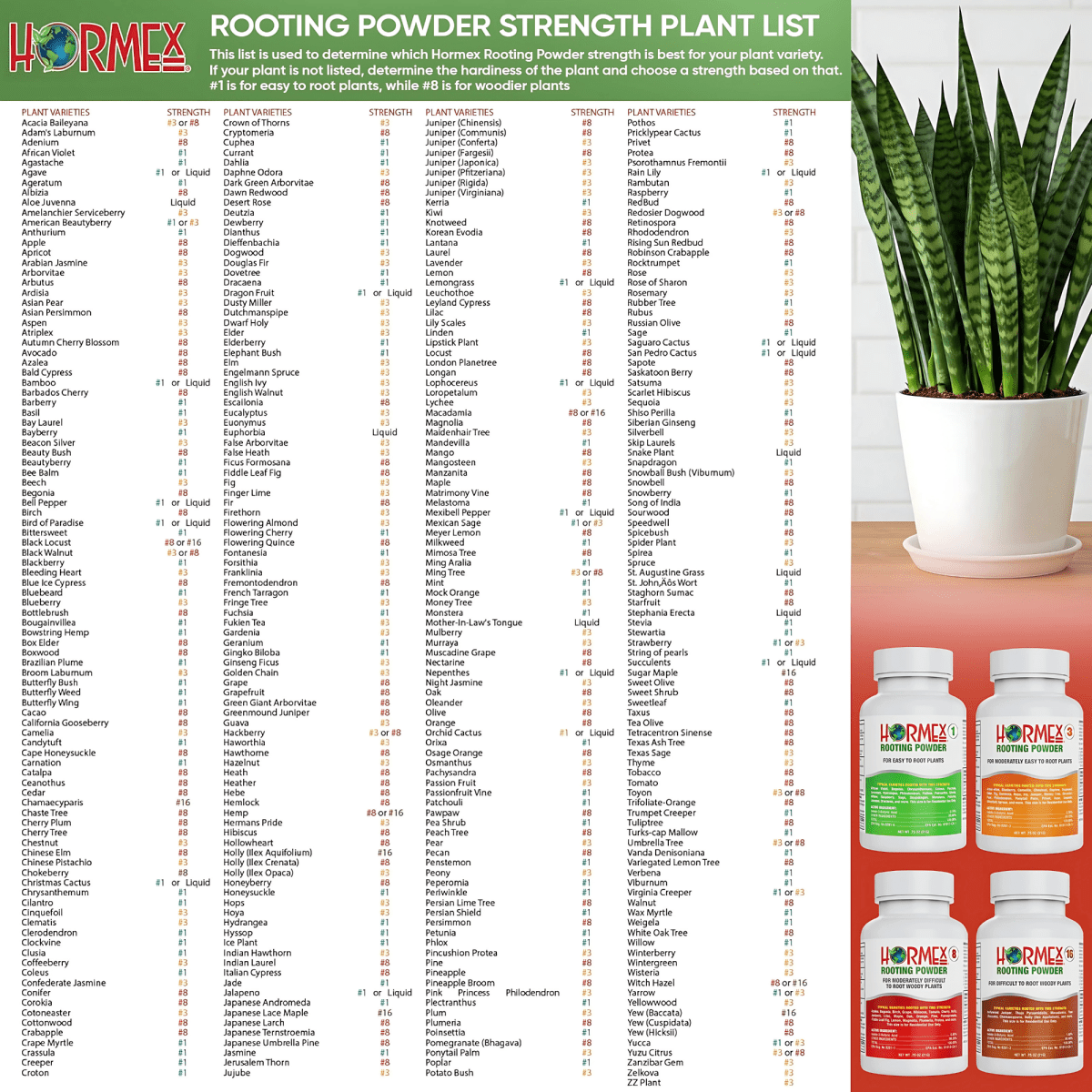 Hormex Rooting Powder 16 – 1.60% IBA Professional - Grade Cloning Hormone for Difficult Hardwood Cuttings - Ed's Plant Shop
