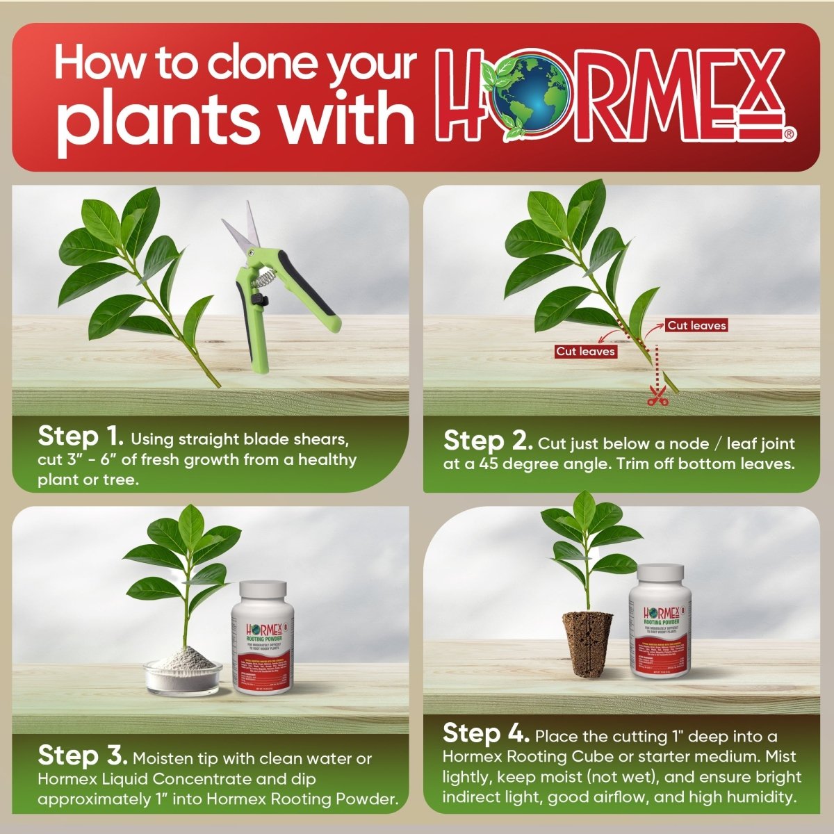 Hormex Rooting Powder 8 – 0.80% IBA Cloning Hormone for Semi - Hardwood Houseplants & Tree Cuttings - Ed's Plant Shop