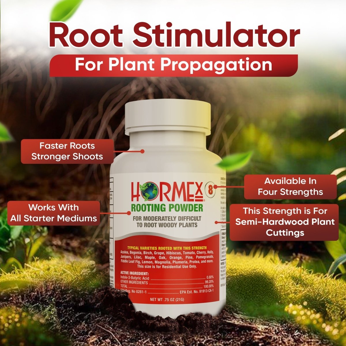 Hormex Rooting Powder 8 – 0.80% IBA Cloning Hormone for Semi - Hardwood Houseplants & Tree Cuttings - Ed's Plant Shop