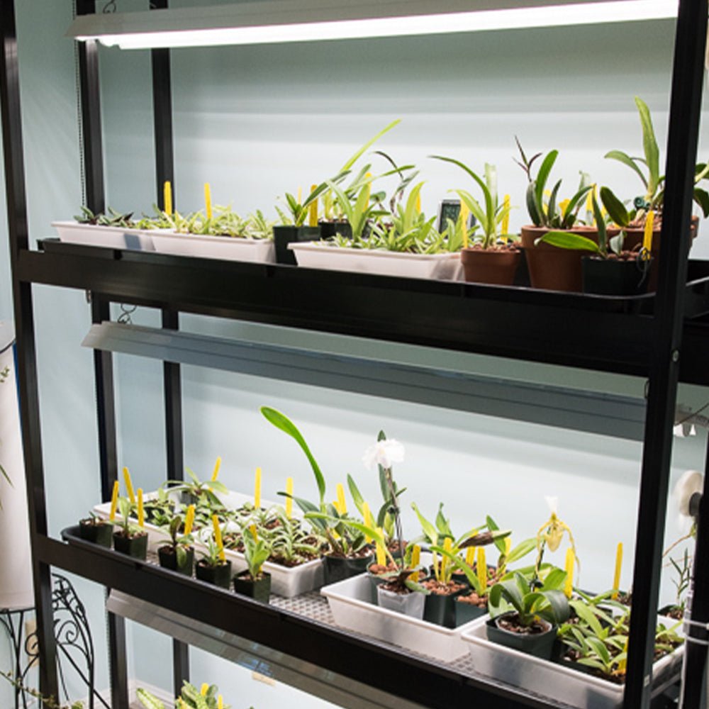 Integrated 4' LED Grow Light – Dual T8 Sun White Pro Spectrum