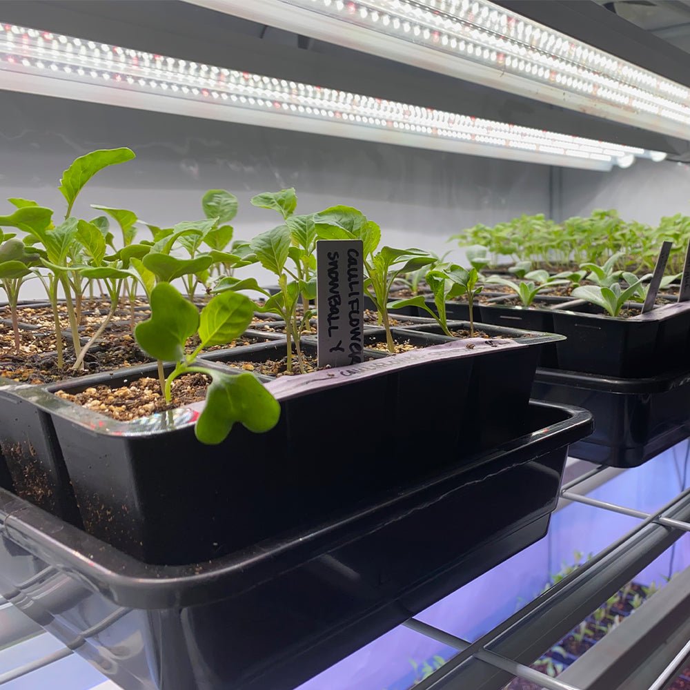 Integrated 4' LED Grow Light – Dual T8 Sun White Pro Spectrum