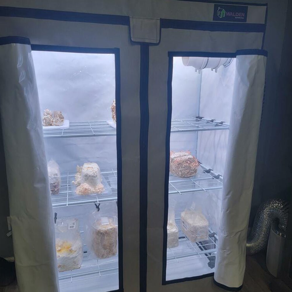 Integrated Strip T5 4FT LED Mushroom Grow Light (54W Eqv.) – Blue Sun Spectrum - Ed's Plant Shop