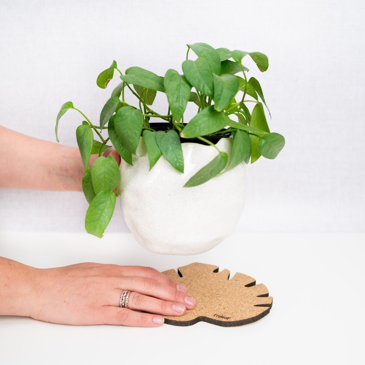 Kostr™ – Set of 4 Sustainable Cork Plant Coasters - Ed's Plant Shop